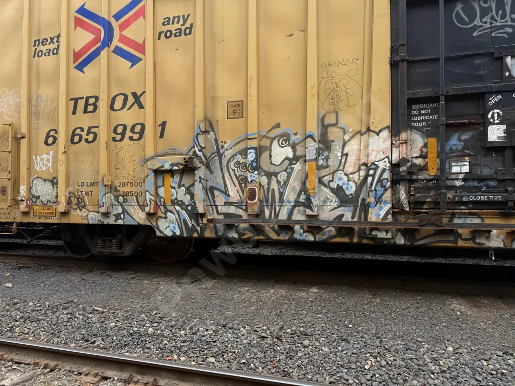 TBOX665991 - NORTH-AMERICA