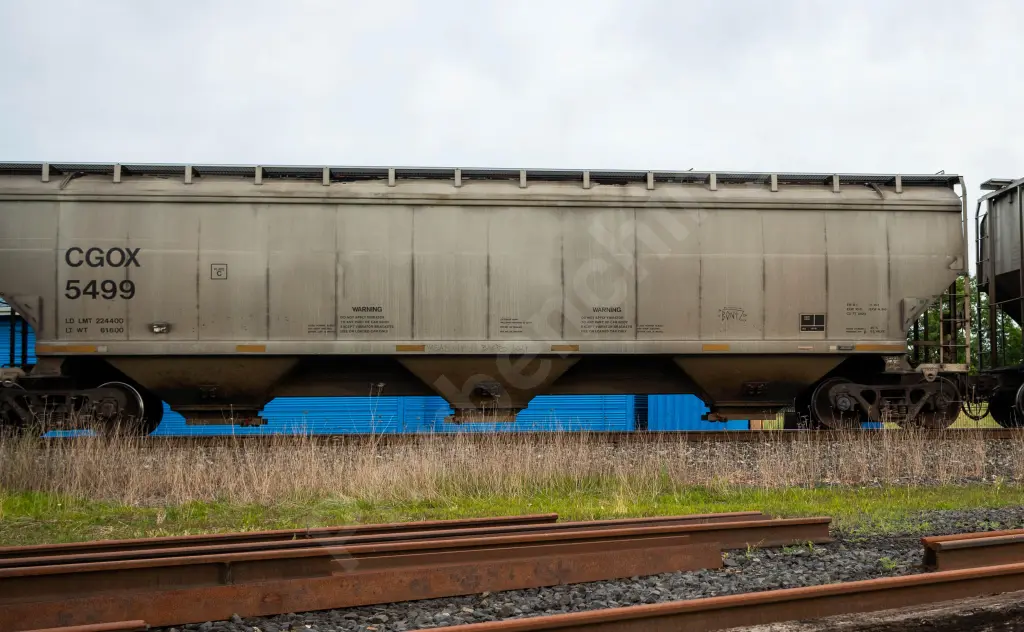 CGOX5499 - NORTH-AMERICA