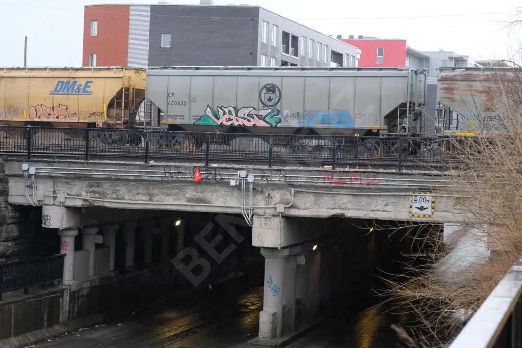 CP650633 - NORTH-AMERICA
