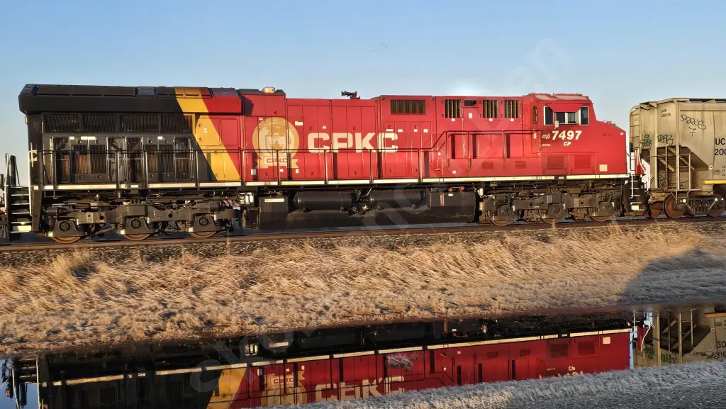 CP7497 - NORTH-AMERICA