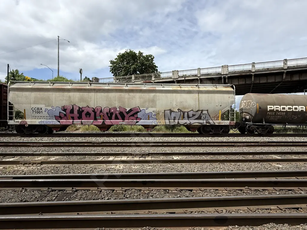 CCBX71001 - NORTH-AMERICA