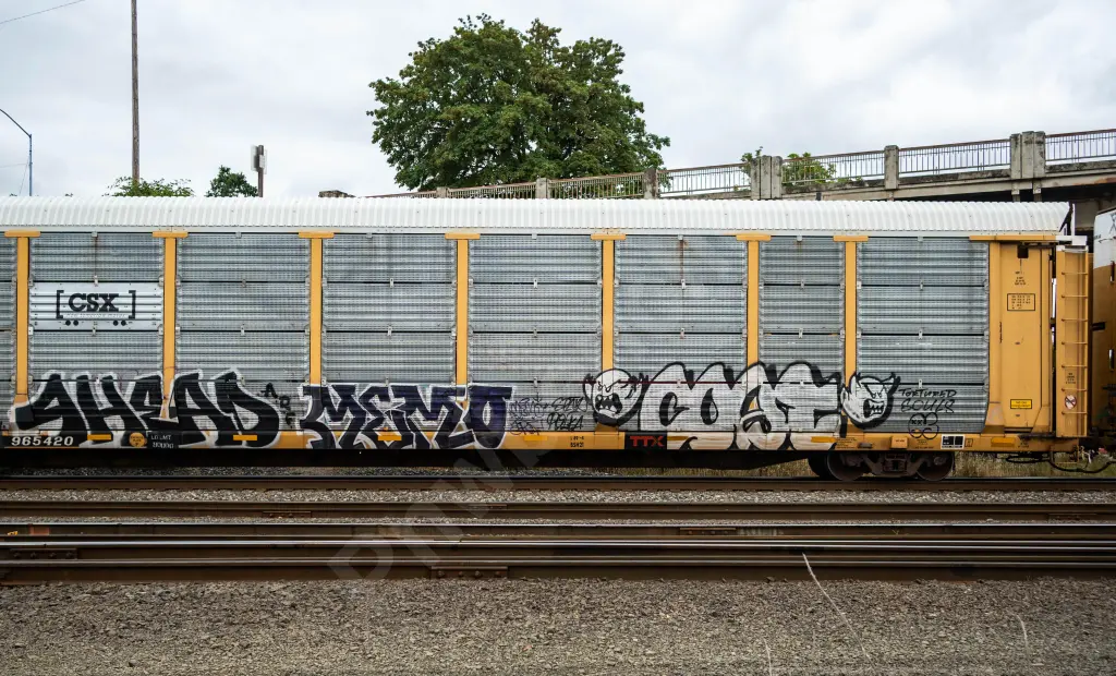 TTGX965420 - NORTH-AMERICA