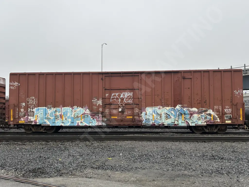 TR18214 - NORTH-AMERICA