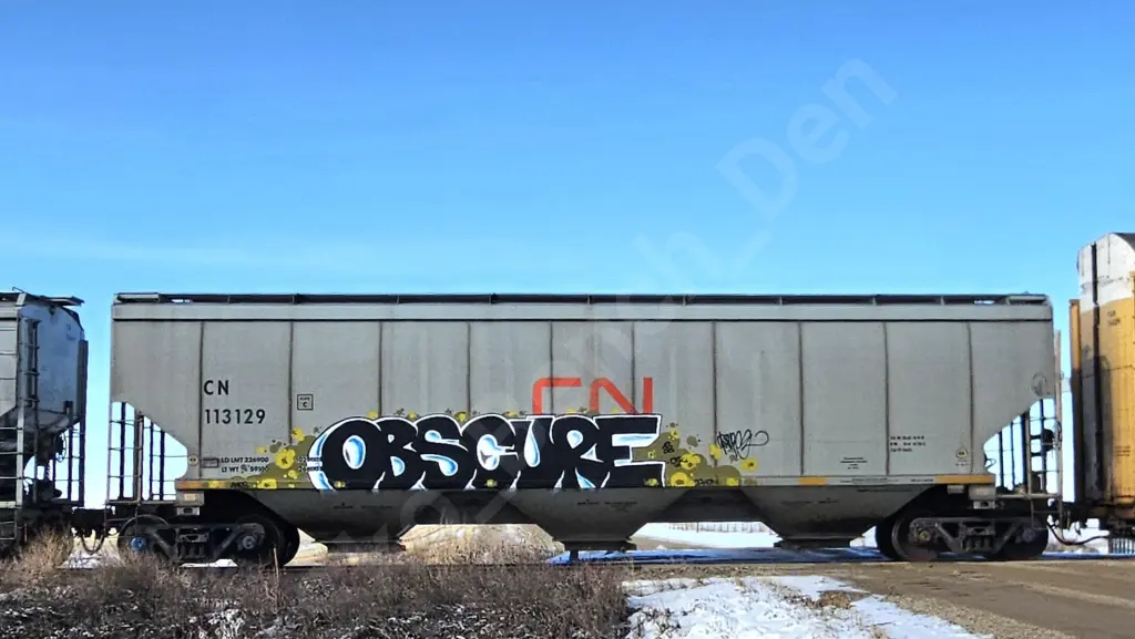 CN113129 - NORTH-AMERICA