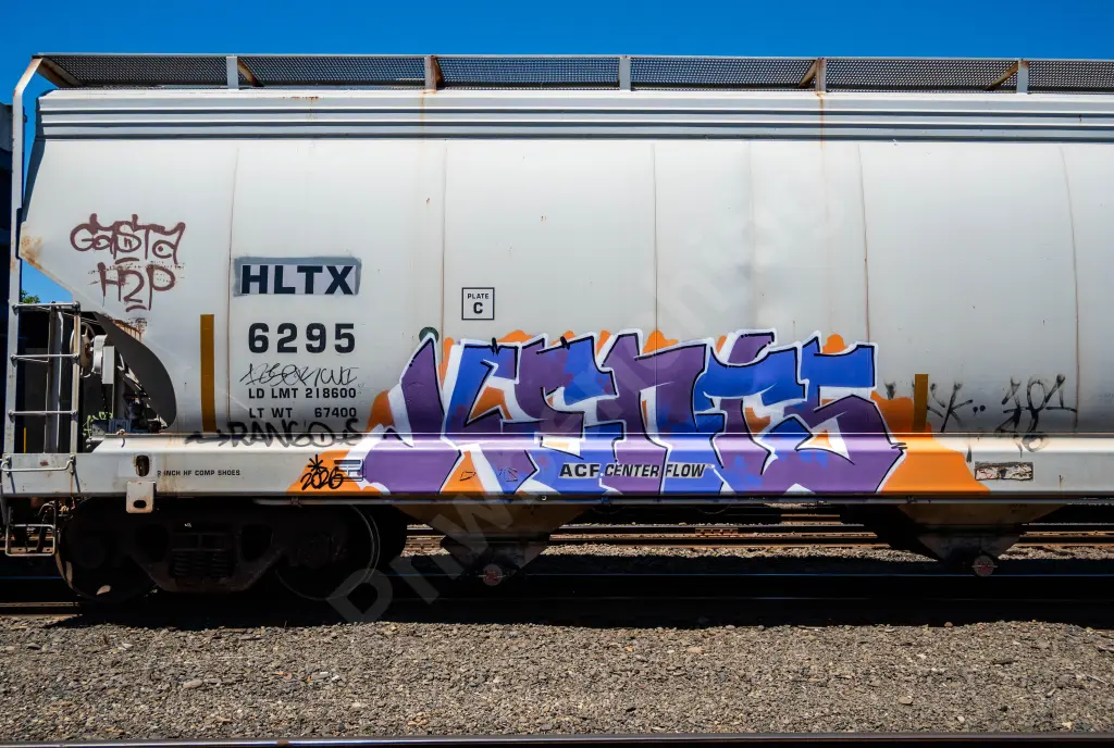 HLTX6295 - NORTH-AMERICA