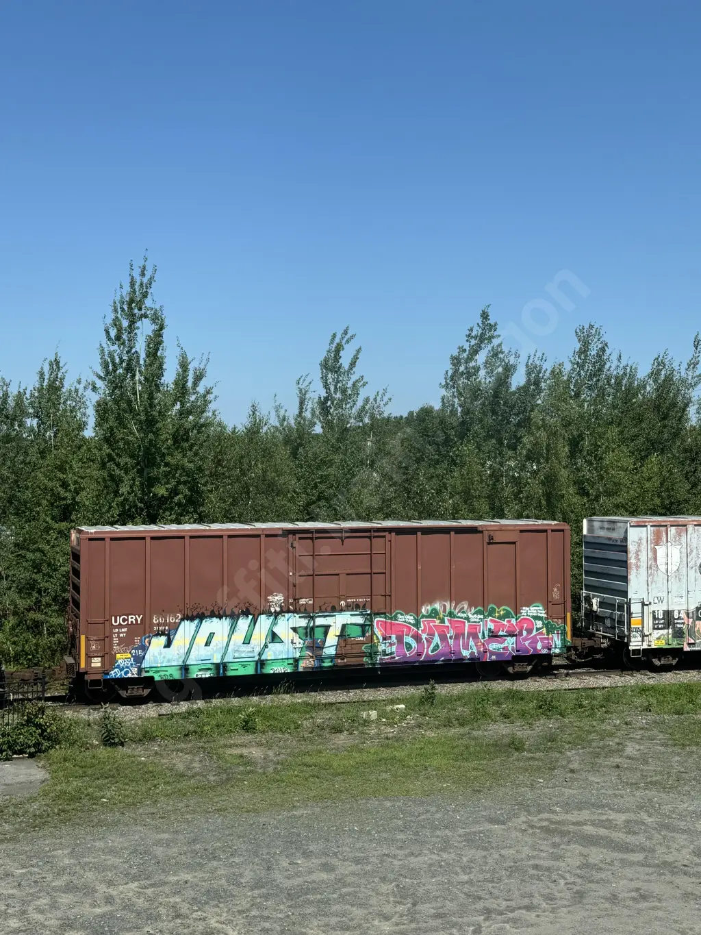 UCRY86162 - NORTH-AMERICA