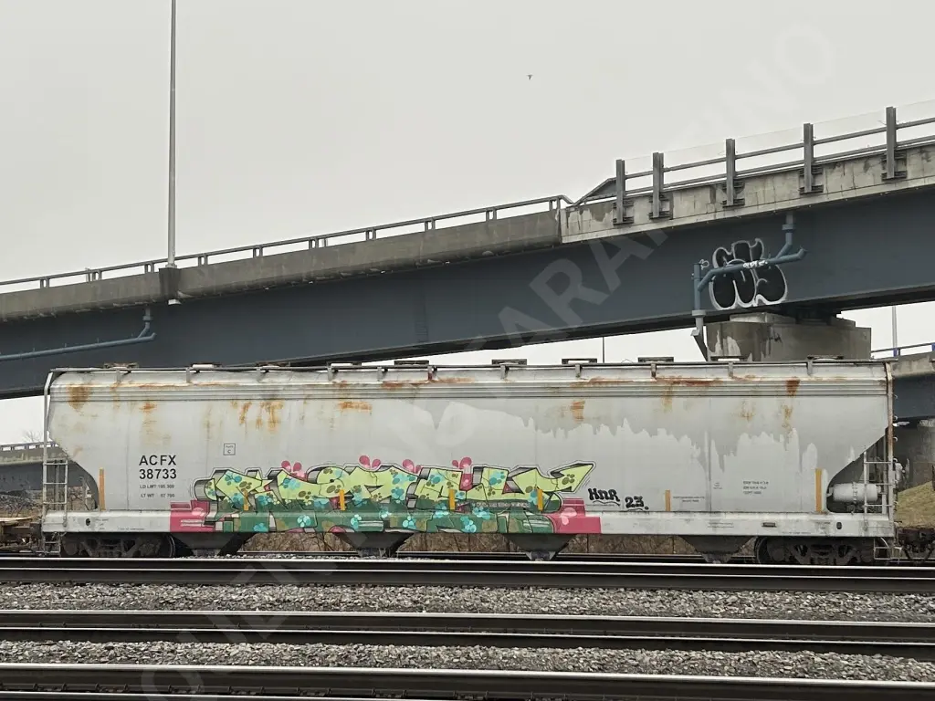 ACFX38733 - NORTH-AMERICA