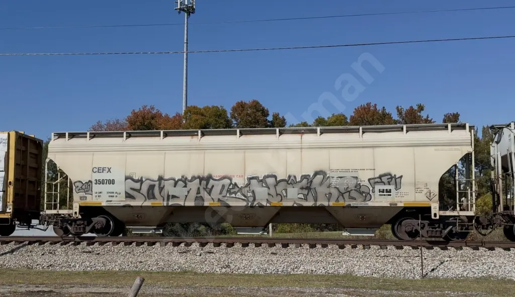 CEFX350700 - NORTH-AMERICA