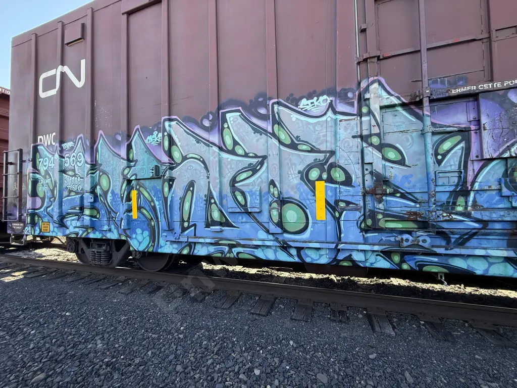 DWC794569 - NORTH-AMERICA