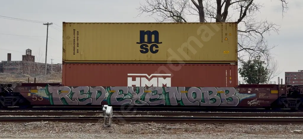BNSF253156 - NORTH-AMERICA