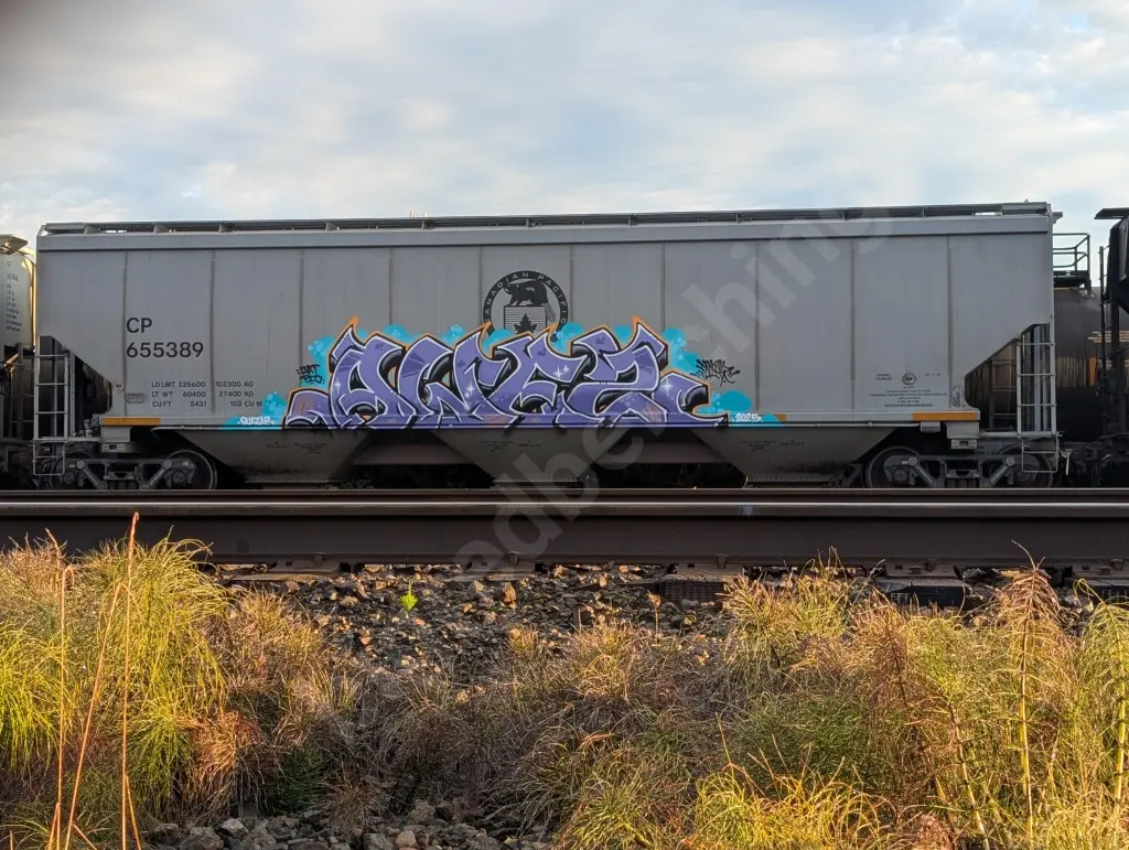 CP655389 - NORTH-AMERICA