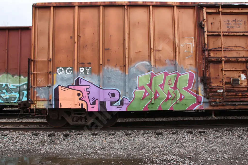 #11528 - NORTH-AMERICA