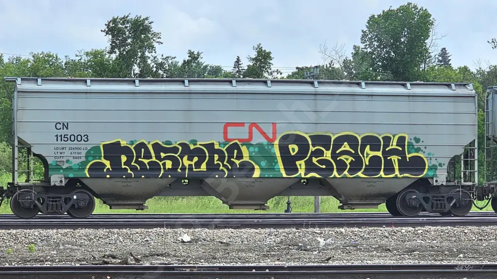 CN115003 - NORTH-AMERICA