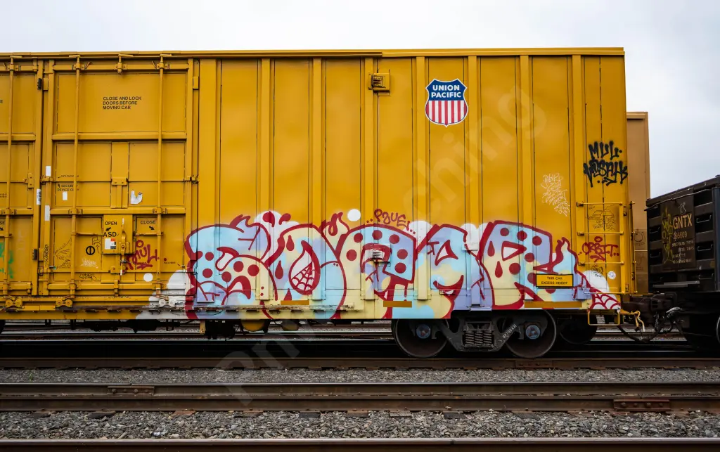 UP700431 - NORTH-AMERICA