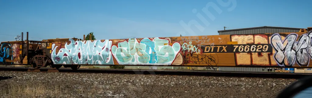DTTX766629 - NORTH-AMERICA