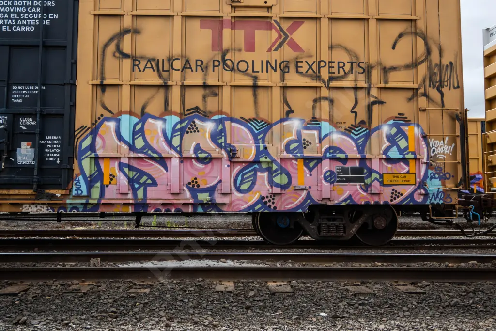 TBOX672874 - NORTH-AMERICA