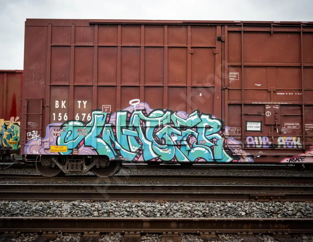 BKTY156676 - NORTH-AMERICA