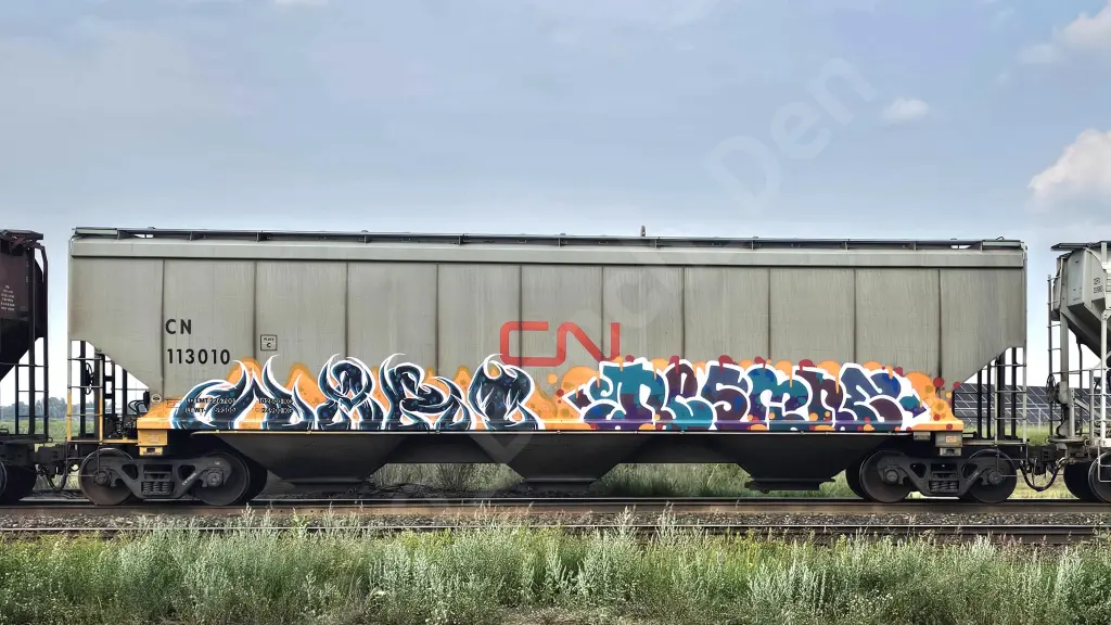 CN113010 - NORTH-AMERICA