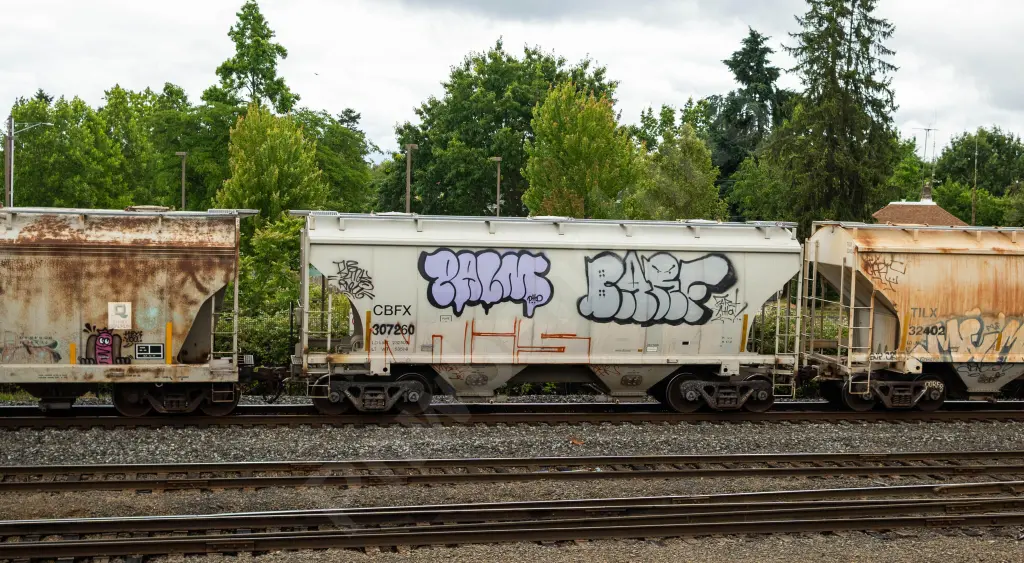 CBFX307260 - NORTH-AMERICA