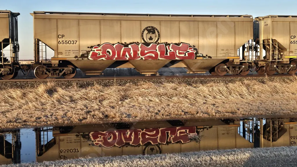 CP655037 - NORTH-AMERICA
