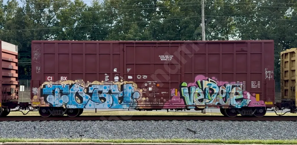 CIBX101757 - NORTH-AMERICA
