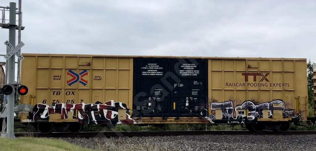 TBOX675257 - NORTH-AMERICA