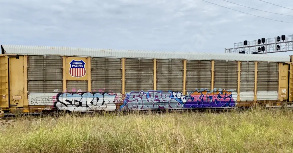 SP616505 - NORTH-AMERICA