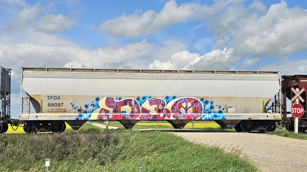TFOX88087 - NORTH-AMERICA