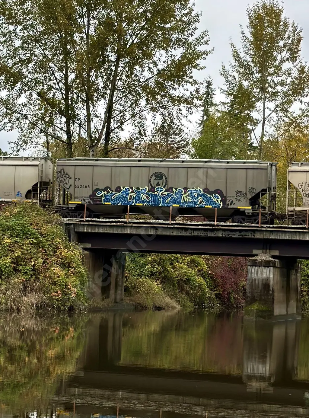 CP652466 - NORTH-AMERICA
