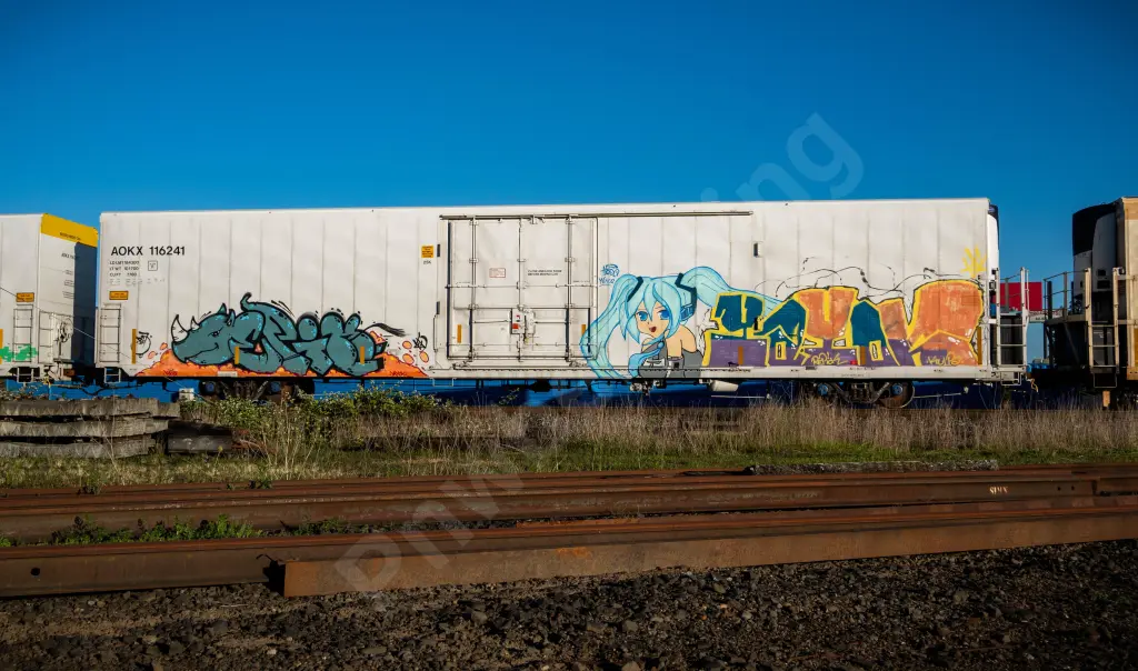 AOKX116241 - NORTH-AMERICA