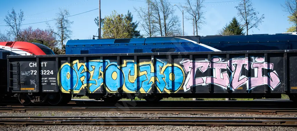 CHTT723224 - NORTH-AMERICA