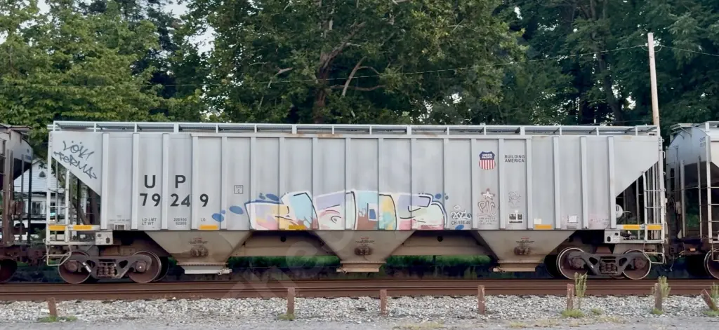 UP79249 - NORTH-AMERICA