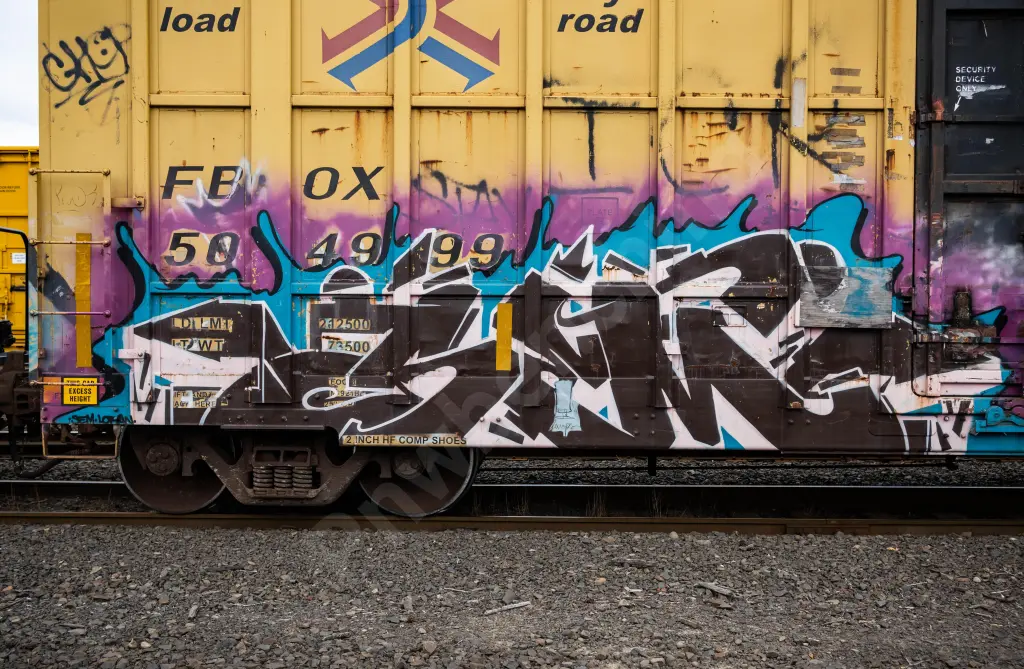 FBOX504999 - NORTH-AMERICA