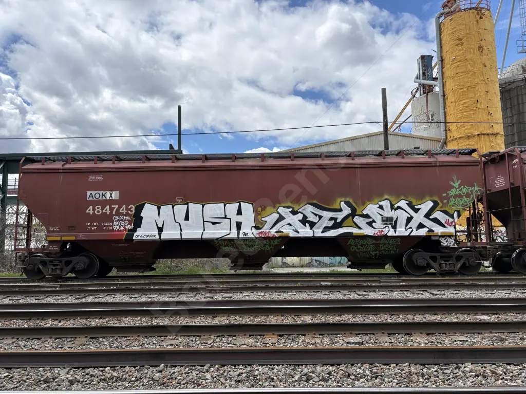 AOKX484743 - NORTH-AMERICA