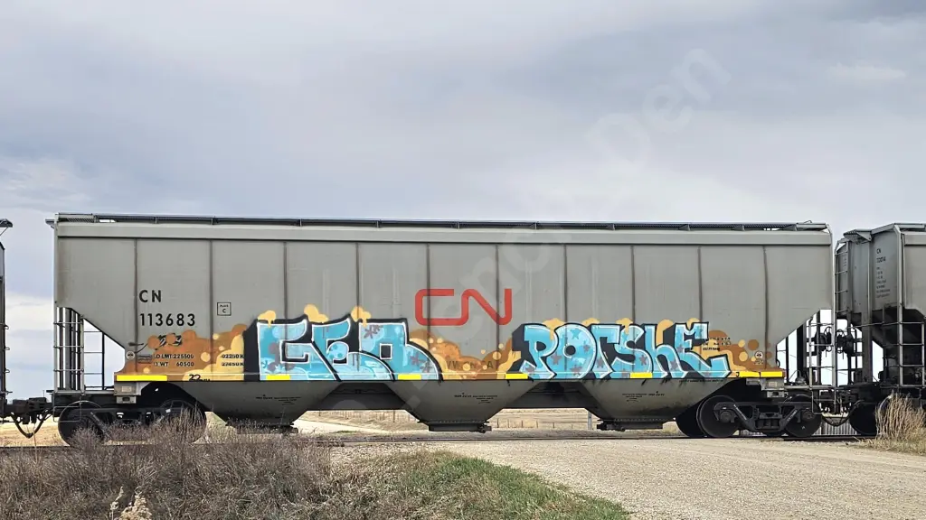 CN113683 - NORTH-AMERICA