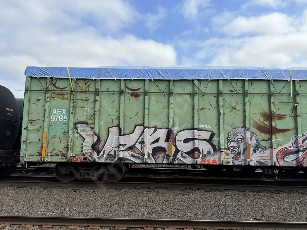 AEX9785 - NORTH-AMERICA