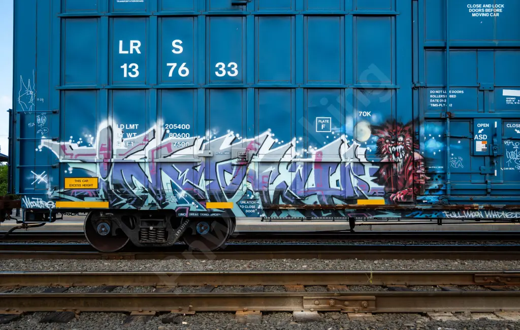 LRS137633 - NORTH-AMERICA