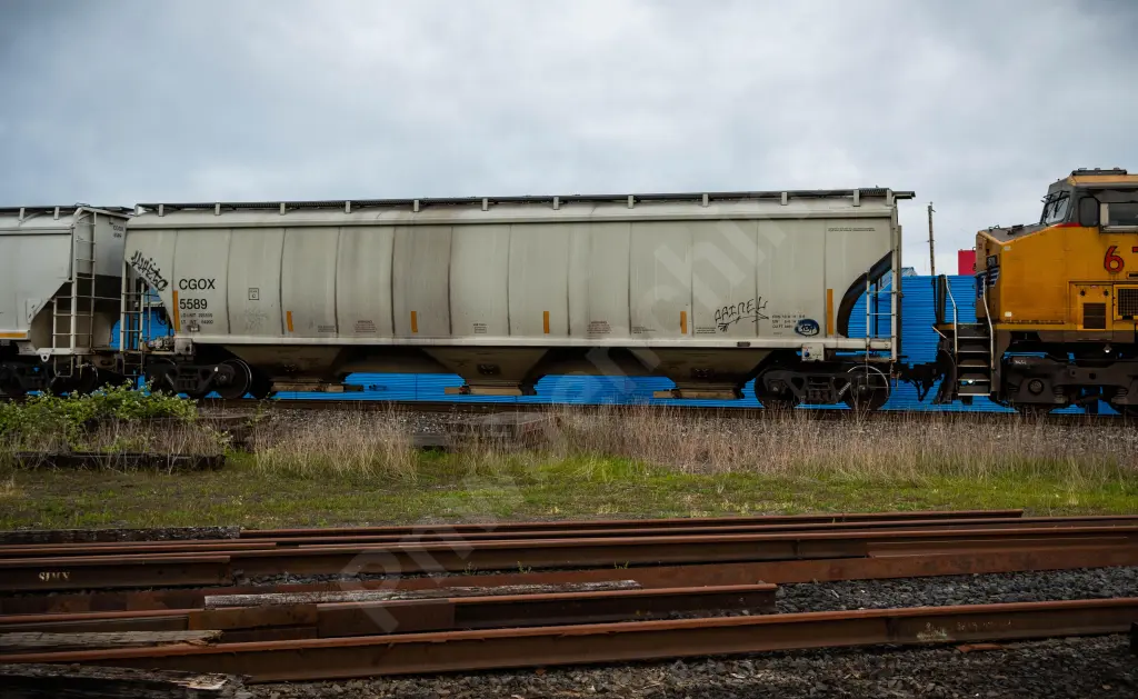 CGOX5589 - NORTH-AMERICA