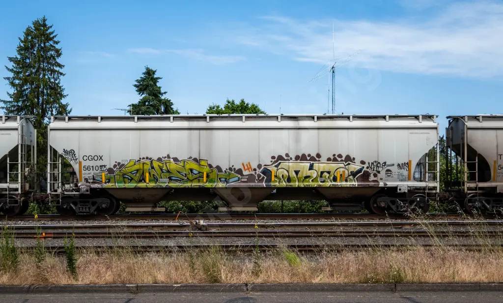 CGOX5610 - NORTH-AMERICA