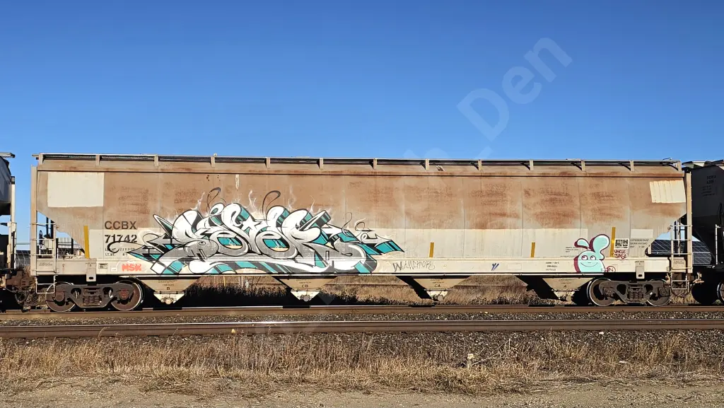CCBX71742 - NORTH-AMERICA