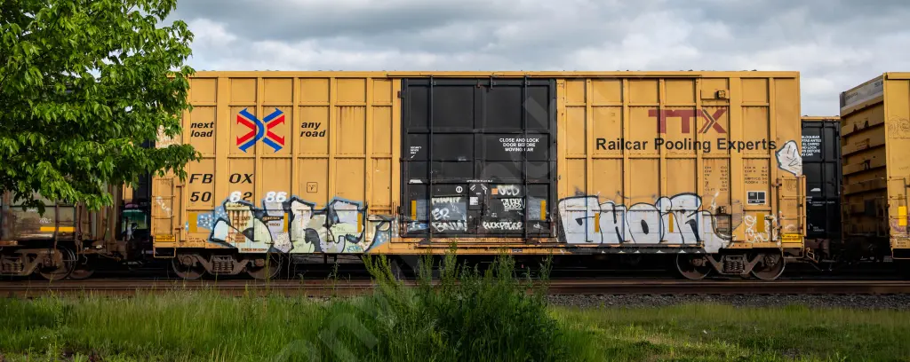 FBOX506286 - NORTH-AMERICA