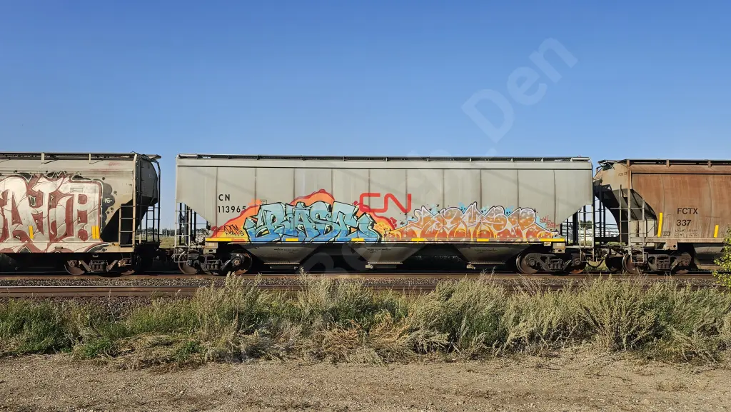 CN113965 - NORTH-AMERICA