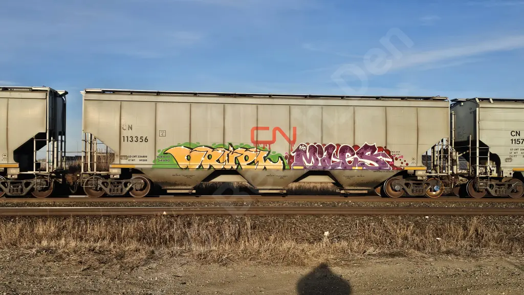CN113356 - NORTH-AMERICA