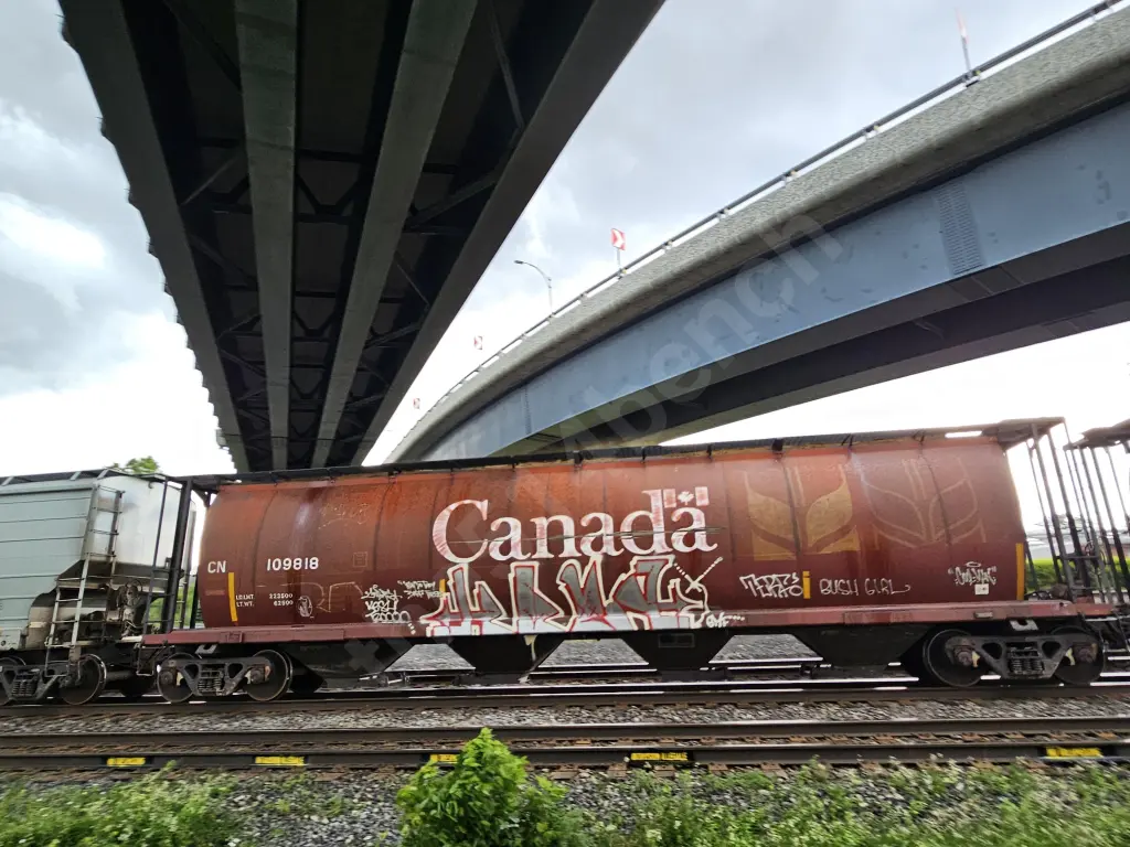 CN109818 - NORTH-AMERICA