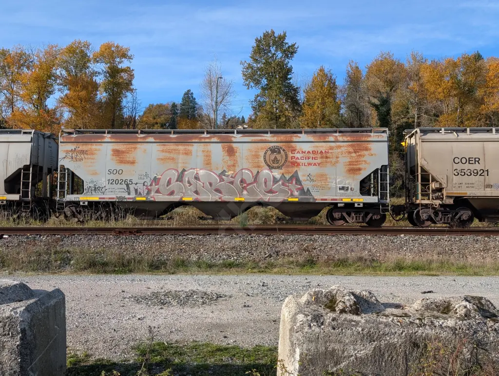 SOO120265 - NORTH-AMERICA