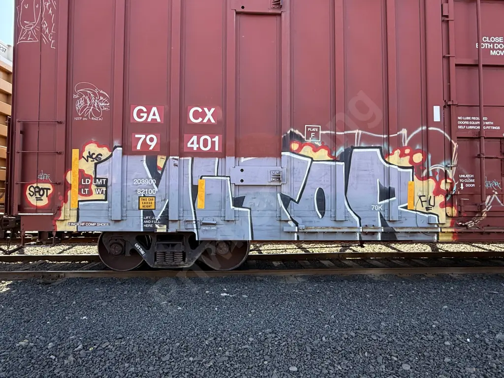 GACX79401 - NORTH-AMERICA