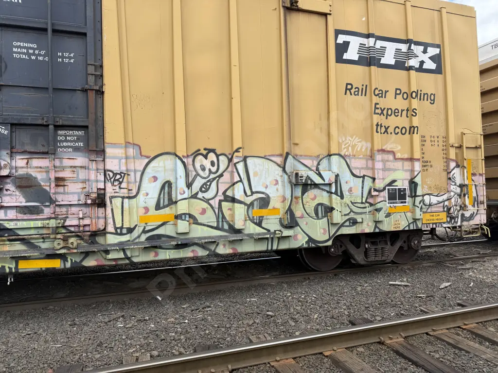 TBOX665182 - NORTH-AMERICA
