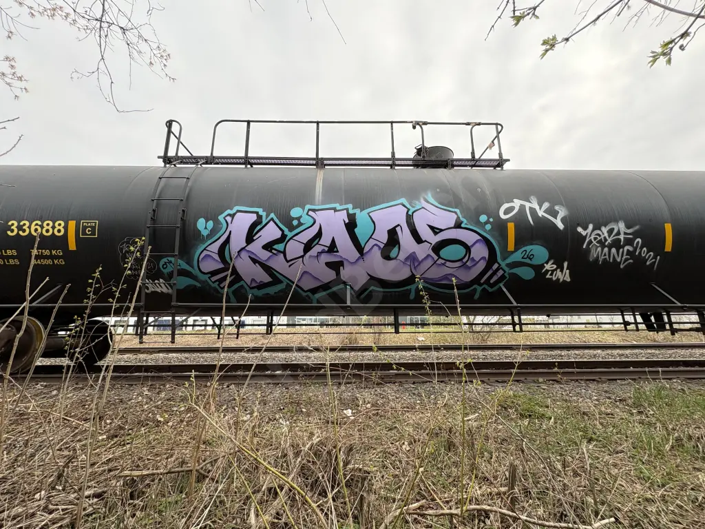 TEIX33688 - NORTH-AMERICA