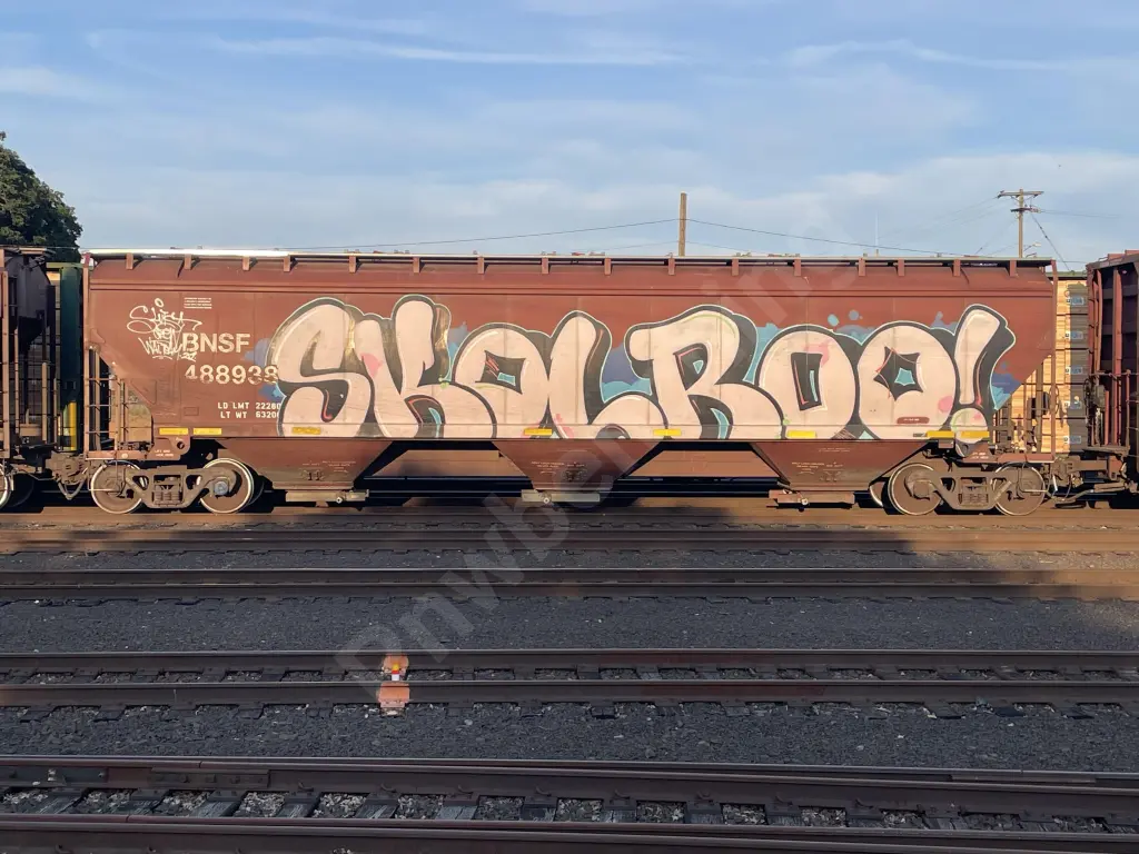 BNSF488938 - NORTH-AMERICA