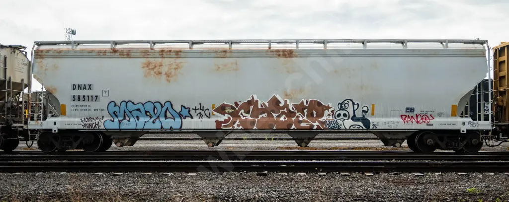 DNAX585117 - NORTH-AMERICA
